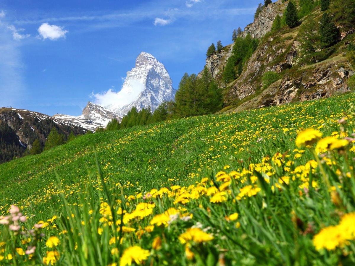 Apartment Papillon By Interhome Zermatt Esterno foto
